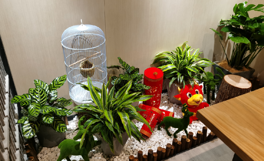 溫馨的港灣，家庭花卉租擺方案搭配